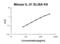 Interleukin 31 antibody, EK1100, Boster Biological Technology, Enzyme Linked Immunosorbent Assay image 