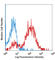 CD209 Molecule antibody, 330110, BioLegend, Flow Cytometry image 