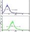 Actin Related Protein 2/3 Complex Subunit 1A antibody, PA5-13448, Invitrogen Antibodies, Flow Cytometry image 