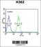 EF-Hand Domain Containing 2 antibody, 64-098, ProSci, Flow Cytometry image 