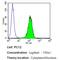 Karyopherin Subunit Beta 1 antibody, MA3-070, Invitrogen Antibodies, Flow Cytometry image 