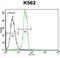 StAR Related Lipid Transfer Domain Containing 6 antibody, abx026468, Abbexa, Flow Cytometry image 