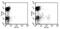 CD11C antibody, 11-0114-81, Invitrogen Antibodies, Flow Cytometry image 