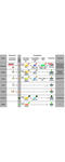 Cullin 3 antibody, A00747, Boster Biological Technology, Immunoprecipitation image 