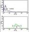 POU Class 2 Homeobox Associating Factor 1 antibody, PA5-26105, Invitrogen Antibodies, Flow Cytometry image 