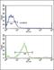 Polypeptide N-Acetylgalactosaminyltransferase 3 antibody, GTX80494, GeneTex, Flow Cytometry image 