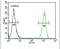 Cyclin T1 antibody, PA5-24163, Invitrogen Antibodies, Flow Cytometry image 