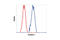 Profilin 1 antibody, 3237S, Cell Signaling Technology, Flow Cytometry image 