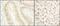 General Transcription Factor IIE Subunit 1 antibody, NBP1-46196, Novus Biologicals, Immunohistochemistry paraffin image 