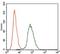 Casein Kinase 2 Alpha 1 antibody, GTX60636, GeneTex, Flow Cytometry image 