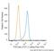 TCRB antibody, NBP2-50355, Novus Biologicals, Flow Cytometry image 