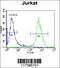 X-Ray Repair Cross Complementing 5 antibody, 56-143, ProSci, Immunofluorescence image 