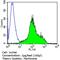 T Cell Receptor Beta Variable 7-9 antibody, TCR1151, Invitrogen Antibodies, Flow Cytometry image 