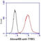 Thymidylate Synthetase antibody, GTX57572, GeneTex, Flow Cytometry image 