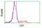 Glucose-6-Phosphate Isomerase antibody, TA501135, Origene, Flow Cytometry image 