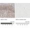 IKAROS Family Zinc Finger 3 antibody, NBP1-89185, Novus Biologicals, Immunohistochemistry paraffin image 