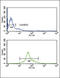 Interferon Regulatory Factor 5 antibody, LS-C97318, Lifespan Biosciences, Flow Cytometry image 