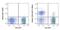 Neural Cell Adhesion Molecule 1 antibody, GTX01477-02, GeneTex, Flow Cytometry image 