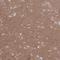 Tetratricopeptide Repeat Domain 7B antibody, NBP2-31715, Novus Biologicals, Immunohistochemistry frozen image 