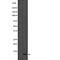 C-C Motif Chemokine Ligand 19 antibody, abx148997, Abbexa, Western Blot image 