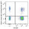 C-X3-C Motif Chemokine Receptor 1 antibody, 341619, BioLegend, Flow Cytometry image 