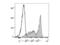 Thy-1 Cell Surface Antigen antibody, LS-C811490, Lifespan Biosciences, Flow Cytometry image 