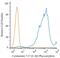 Keratin 17 antibody, NB500-352, Novus Biologicals, Flow Cytometry image 