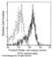 CD59A glycoprotein antibody, 50724-R133, Sino Biological, Flow Cytometry image 