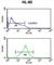 Nucleotide Binding Oligomerization Domain Containing 1 antibody, abx034078, Abbexa, Western Blot image 