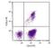 CD3d Molecule antibody, NBP1-28275, Novus Biologicals, Flow Cytometry image 