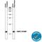 Fatty Acid Binding Protein 7 antibody, AF3166, R&D Systems, Western Blot image 