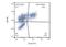 Integrin Subunit Alpha E antibody, NBP1-97564, Novus Biologicals, Flow Cytometry image 