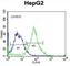 Fibronectin Type III Domain Containing 7 antibody, abx026696, Abbexa, Western Blot image 