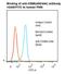 Carcinoembryonic Antigen Related Cell Adhesion Molecule 8 antibody, LS-C777382, Lifespan Biosciences, Flow Cytometry image 