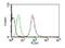 Cytokeratin Pan  antibody, NBP2-33200, Novus Biologicals, Flow Cytometry image 