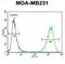 Cyclic GMP-AMP Synthase antibody, abx025753, Abbexa, Flow Cytometry image 