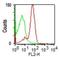 Sialophorin antibody, NBP2-33140, Novus Biologicals, Flow Cytometry image 