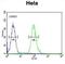 Claudin 7 antibody, abx025621, Abbexa, Flow Cytometry image 