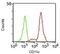 CD11C antibody, 33-158, ProSci, Flow Cytometry image 