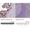 DnaJ homolog subfamily B member 13 antibody, NBP2-30620, Novus Biologicals, Immunohistochemistry paraffin image 