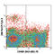 c-Kit antibody, 105823, BioLegend, Flow Cytometry image 