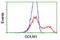 Golgi Membrane Protein 1 antibody, TA504165, Origene, Flow Cytometry image 