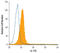 Interleukin 17D antibody, MAB15041, R&D Systems, Flow Cytometry image 