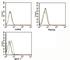 Rabbit IgG Isotype Control antibody, N1001PE-100UG, NSJ Bioreagents, Flow Cytometry image 