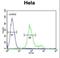 Sulfatase Modifying Factor 1 antibody, LS-C161611, Lifespan Biosciences, Flow Cytometry image 