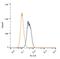BRCA1 DNA Repair Associated antibody, NB100-598, Novus Biologicals, Flow Cytometry image 