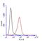 Glypican 1 antibody, PA5-28055, Invitrogen Antibodies, Flow Cytometry image 