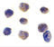 TGF-Beta Activated Kinase 1 (MAP3K7) Binding Protein 1 antibody, 3387, ProSci, Immunocytochemistry image 