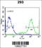 Ubiquitin-Fold Modifier Conjugating Enzyme 1 antibody, 61-140, ProSci, Immunofluorescence image 