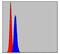 Prohibitin antibody, GTX60495, GeneTex, Flow Cytometry image 